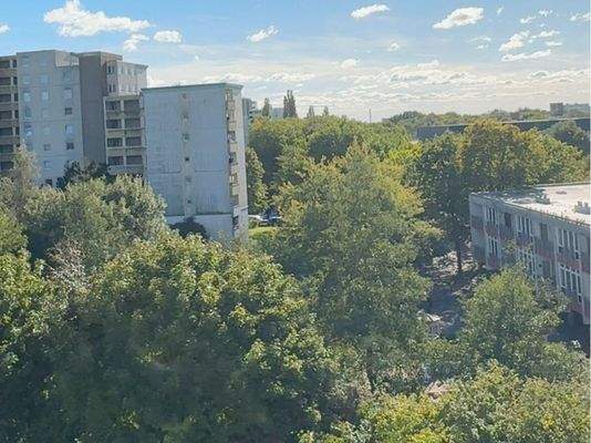 Blick von der Loggia