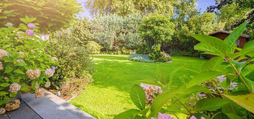 Lagebild 1 (Collage)