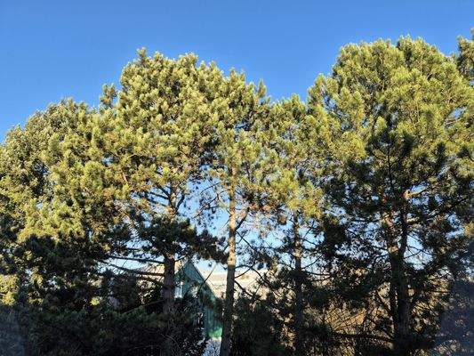 Ausblick_1. Ebene.jpg