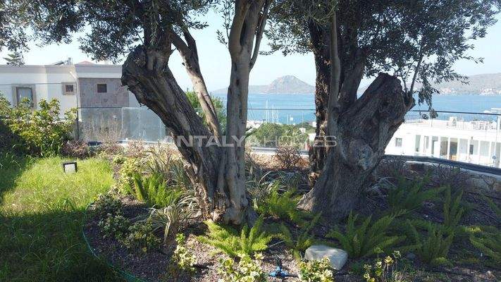 Detached House with Sea View in Yalıkavak Bodrum