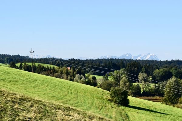 Aussicht Richtung Schweizer Berge