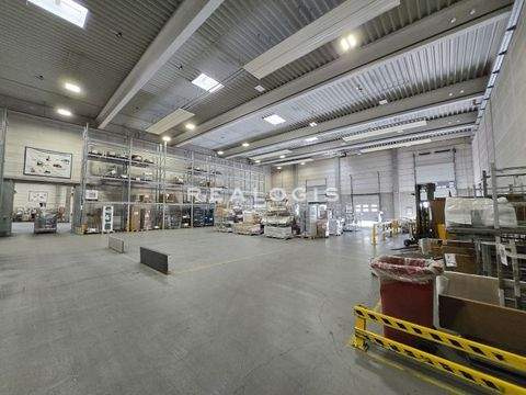 Mainz Halle, Mainz Hallenfläche