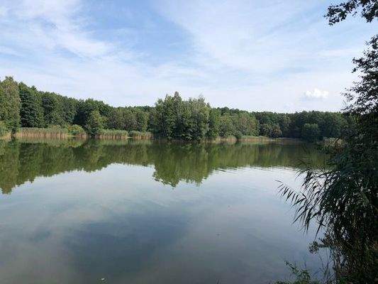 Bade- und Angelsee Groß Pankow