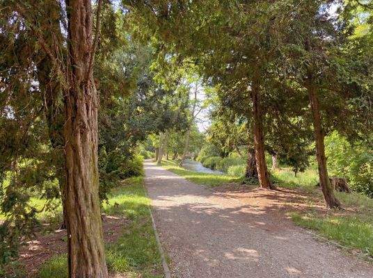 Bürgerpark - Spazier - und Joggingwege