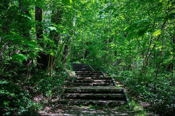 Volkspark_April2024_ASE_5596