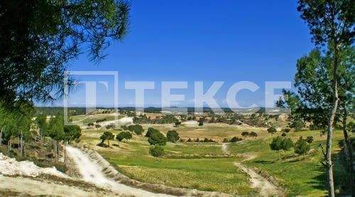 Standalone Villa with a Swimming Pool in Pinar de Campoverde