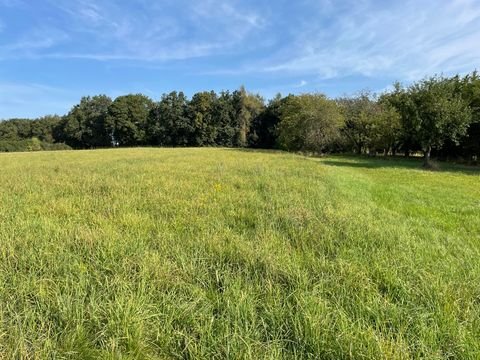 Neustadt an der Waldnaab Bauernhöfe, Landwirtschaft, Neustadt an der Waldnaab Forstwirtschaft