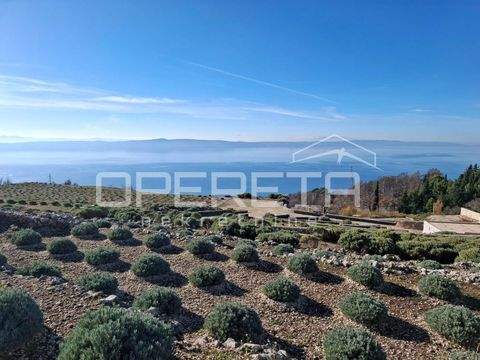 Podgora Bauernhöfe, Landwirtschaft, Podgora Forstwirtschaft