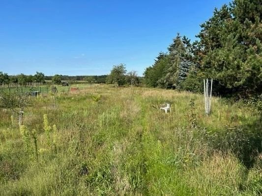 Großer Naturgarten