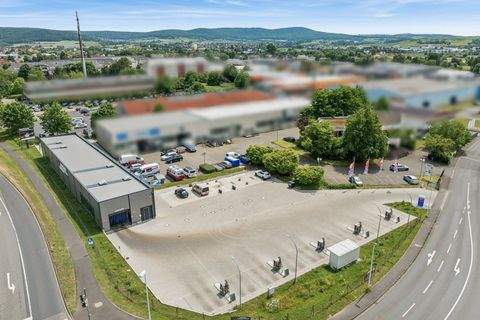 Gelnhausen Halle, Gelnhausen Hallenfläche