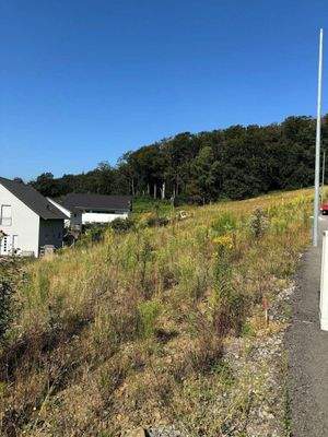 Grundstück Aug 24 (2).jpg