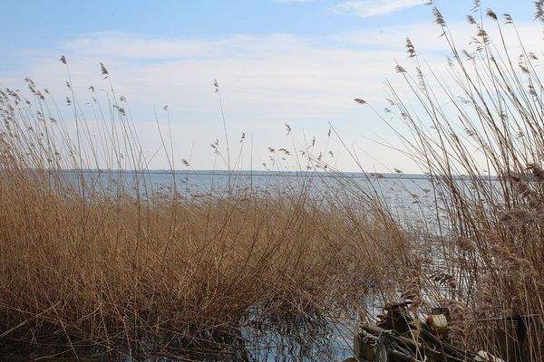 Boddenblick vom Grundstück