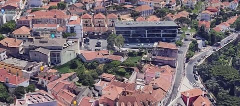 Lisboa, Oeiras e São Julião da Barra Bauernhöfe, Landwirtschaft, Lisboa, Oeiras e São Julião da Barra Forstwirtschaft