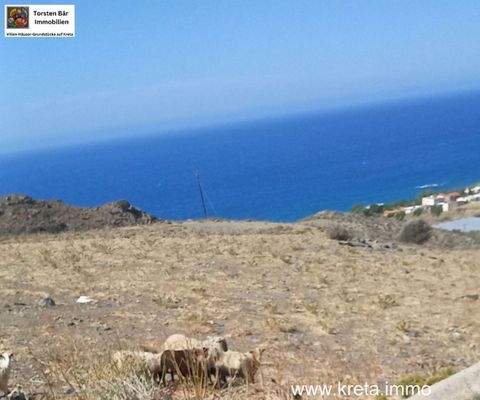 Lentas Bauernhöfe, Landwirtschaft, Lentas Forstwirtschaft