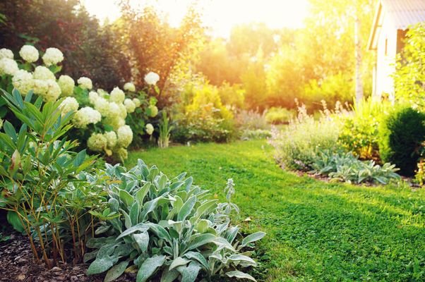 Garten-Schatten