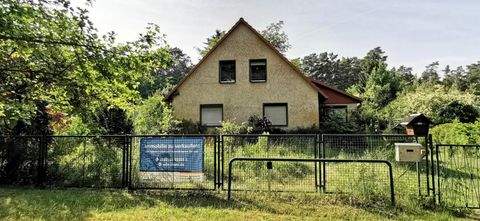 Dolgenbrodt Häuser, Dolgenbrodt Haus kaufen