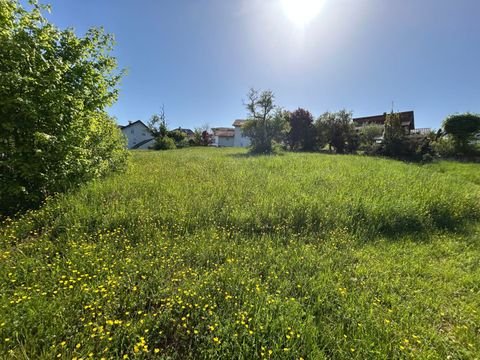 Waldböckelheim Grundstücke, Waldböckelheim Grundstück kaufen