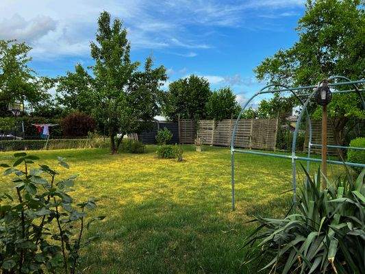 SCHRICK IMMO Siebenbäumen