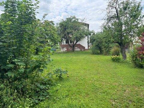 Groß-Umstadt Häuser, Groß-Umstadt Haus kaufen