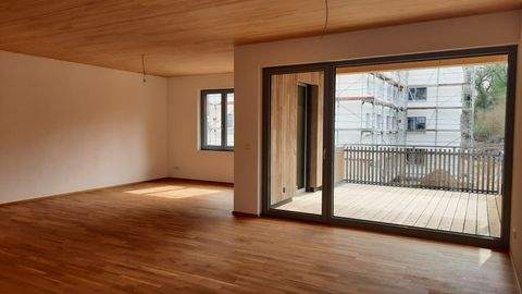 Waldshut-Tiengen Wohnungen, Waldshut-Tiengen Wohnung kaufen