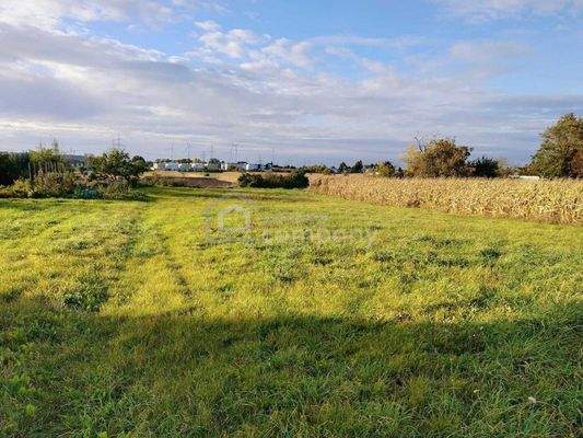Grundstück Parndorf_ Blick nach Nordwesten