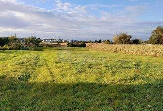 Grundstück Parndorf_ Blick nach Nordwesten