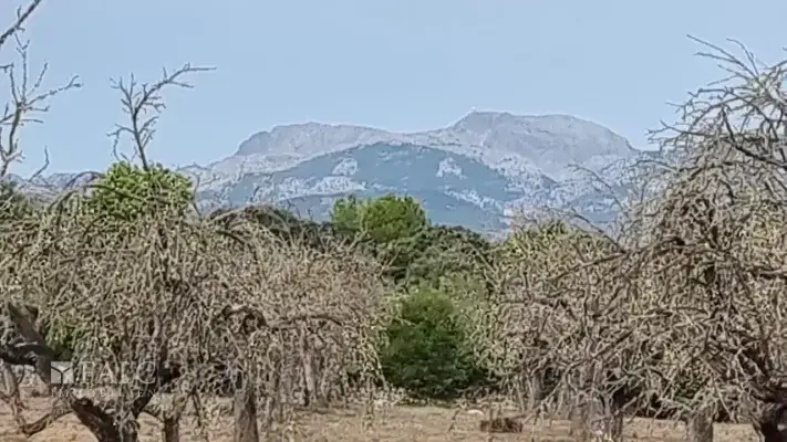 Blick auf Tramuntana