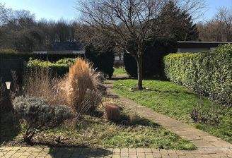 Großer Gartenbereich 