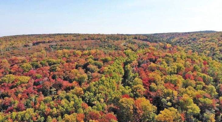 Nova Scotia - West Side Country Harbour - 52-Hekta