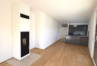 Kaminofen mit Blick auf die Einbauküche