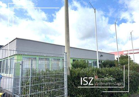 Nürnberg Halle, Nürnberg Hallenfläche