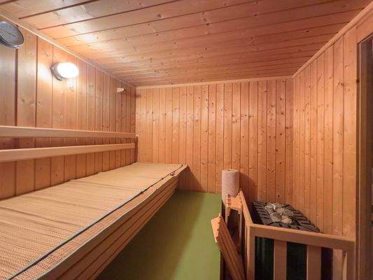  Sauna 