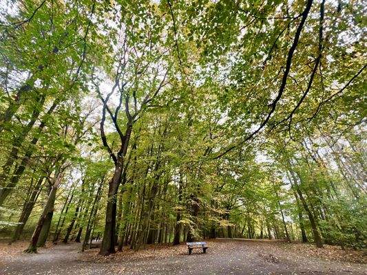 Waldpark Marienhöhe mit Freibad & Tennisverein
