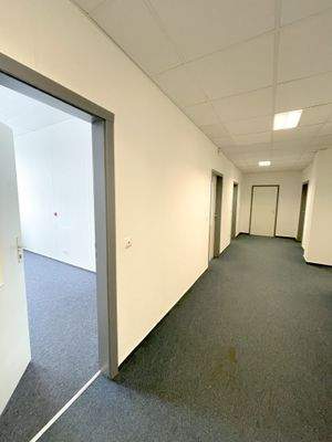 Foto 12.01.23, 12 50 34.jpg