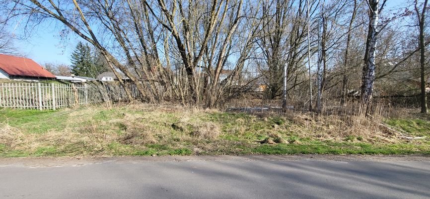 Blick von der Straße auf das Grundstück