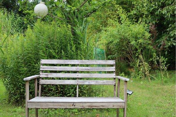 Der weitläufige Garten mit viel Grünfläche