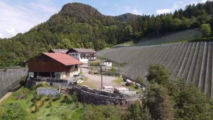 Vöran-Hof-traumhafteAussicht-Ruhe-Äpfel-Wiese-Kastanien-Südtirol-Meraner-Land-Stall-Scheune-Mühle-Beregnugn-Wasserspeicherbecken-Witschaftsgebäude-Bauernhof