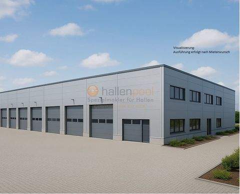 Simmern Halle, Simmern Hallenfläche