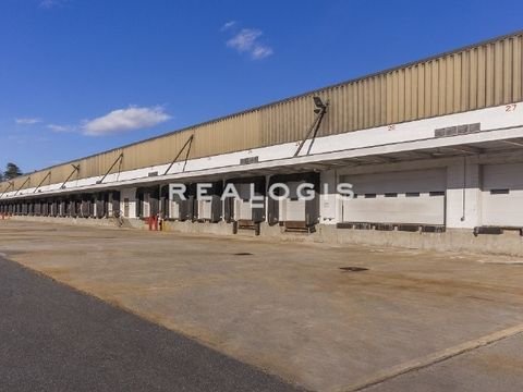 Schwabach Halle, Schwabach Hallenfläche