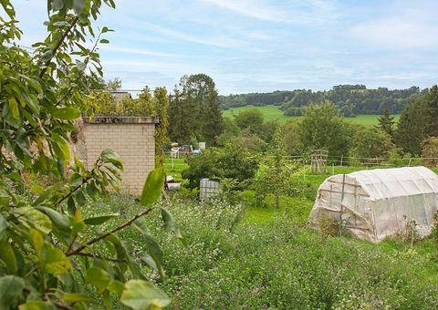 Bonndorf Bauernhöfe, Landwirtschaft, Bonndorf Forstwirtschaft