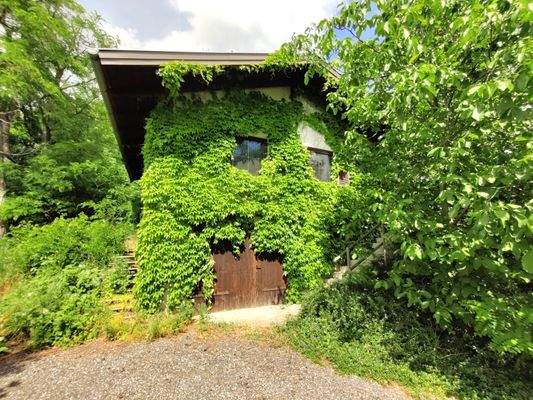 Außenansicht Mai.jpg