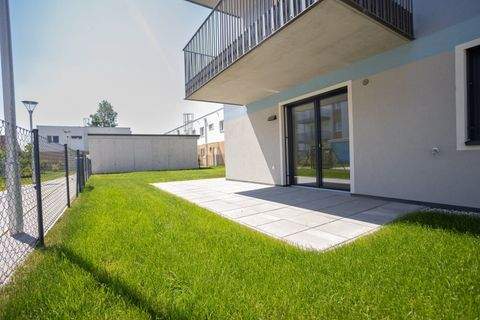 Wiener Neustadt Wohnungen, Wiener Neustadt Wohnung kaufen