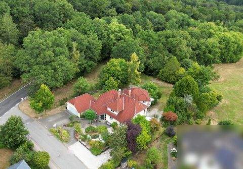 Münchwald Häuser, Münchwald Haus kaufen