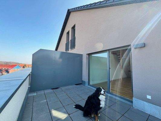 Hundefreundliche 2 Zi DG Wohnung sucht Eigentümer