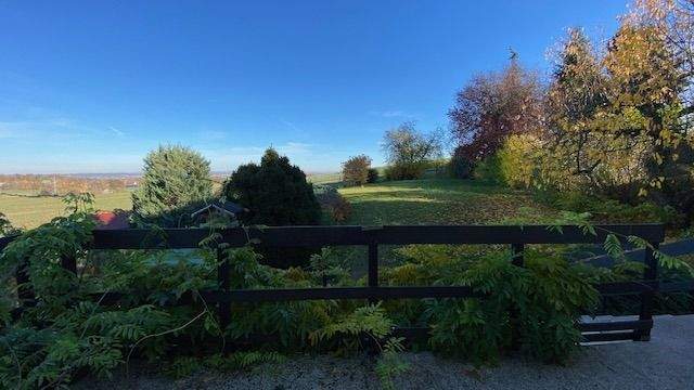 Blick ins Grundstück vom Balkon