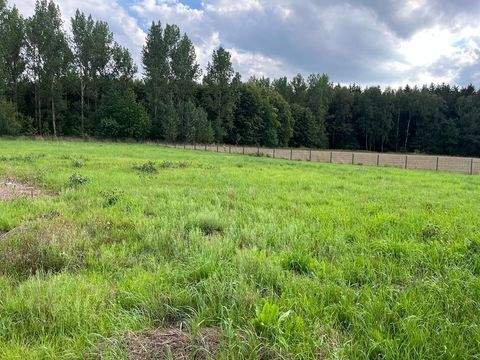 Neukirchen/Erzgebirge Grundstücke, Neukirchen/Erzgebirge Grundstück kaufen