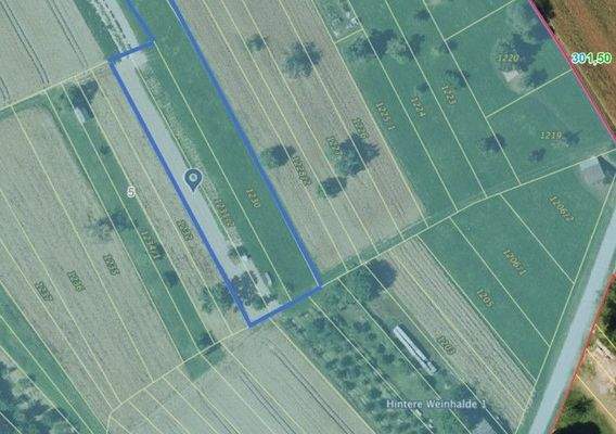 Dettenhausen_Fls 1230_1231