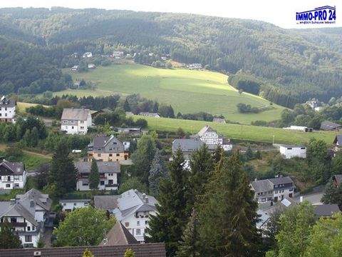 Willingen (Upland) - Willingen-Schwalefeld Wohnungen, Willingen (Upland) - Willingen-Schwalefeld Wohnung kaufen