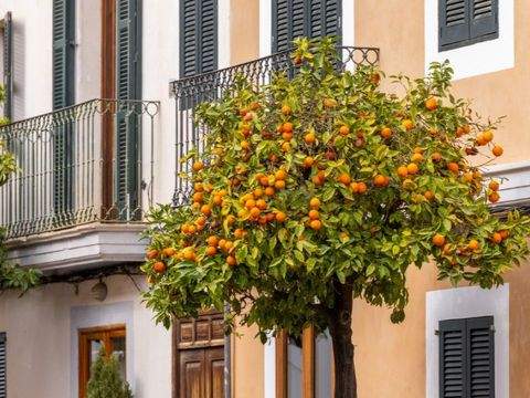 Santanyí Grundstücke, Santanyí Grundstück kaufen