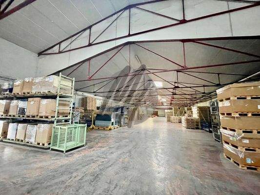 INFOS UNTER: 06171-586000